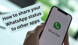 So teilen Sie Ihren WhatsApp-Status mit anderen Apps