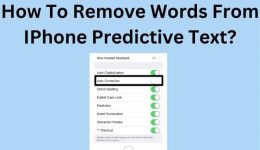 Wie entferne ich Wörter aus der iPhone-Texterkennung?