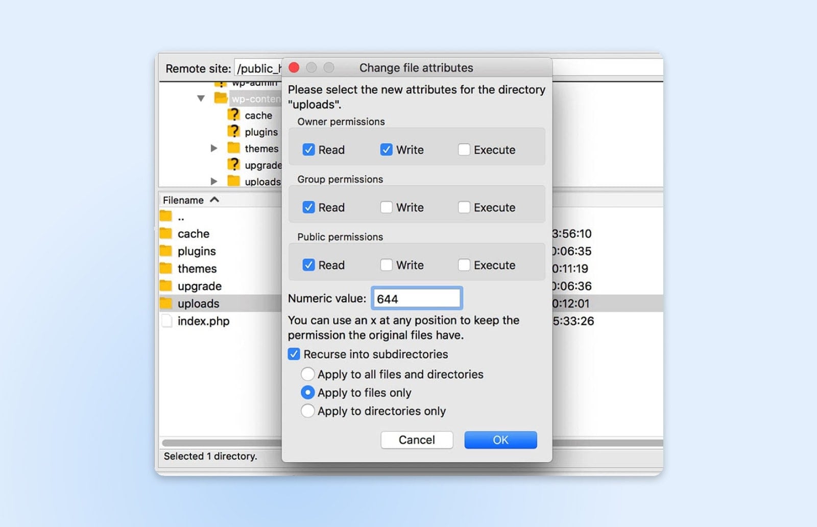 Dateiberechtigungen, Nur auf Dateien anwenden