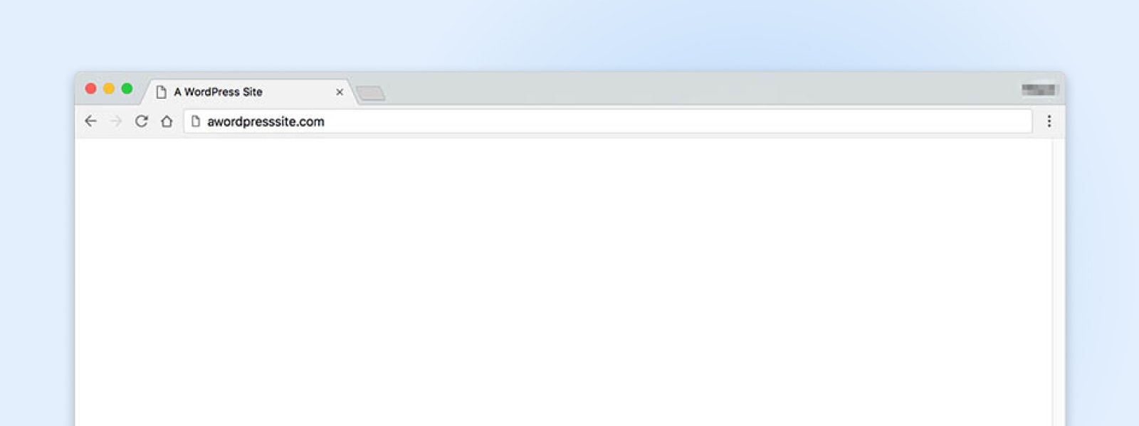 Weißer Bildschirm des Todes