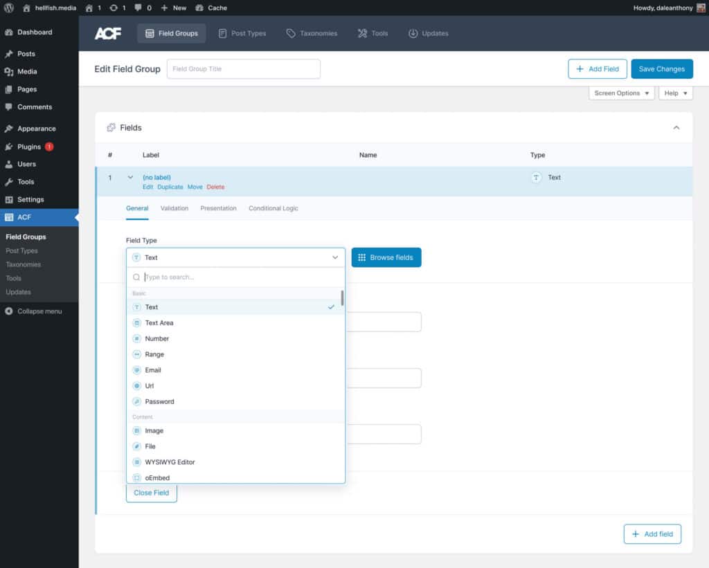 Bild des ACF-Plugins bei der Arbeit auf einer WordPress-Site
