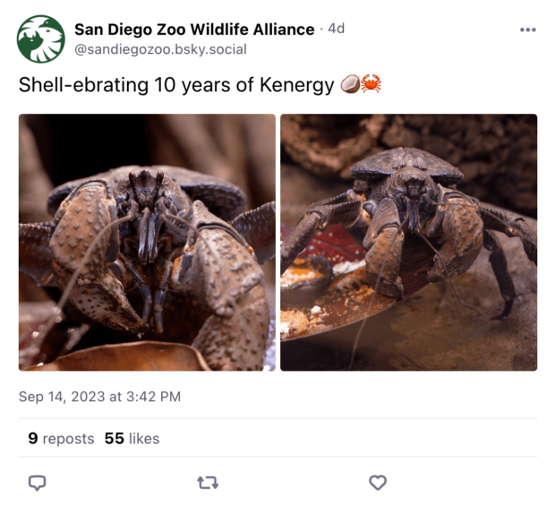 Der Bluesky-Account des San Diego Zoos teilt einen Witz (