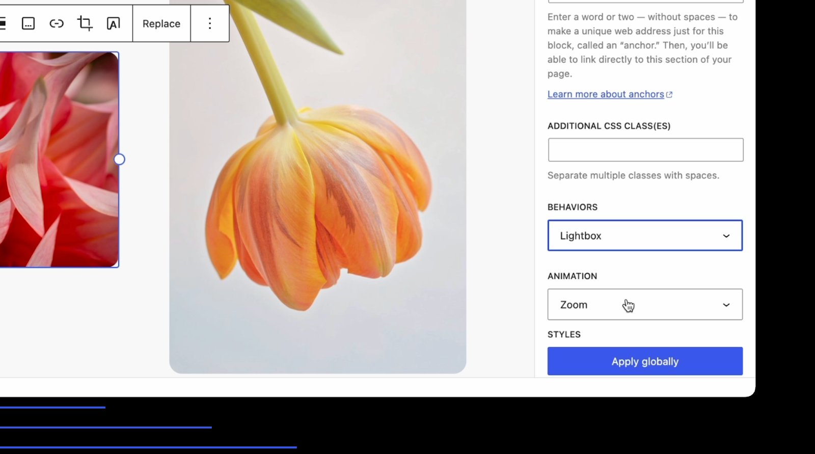 neuer Image Lightbox-Block in WordPress 6.4