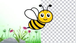 So entfernen Sie den Hintergrund aus einem GIF