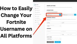 So ändern Sie ganz einfach Ihren Fortnite-Benutzernamen auf allen Plattformen