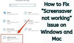 So beheben Sie das Problem „Bildschirmschoner funktioniert nicht“ unter Windows und Mac