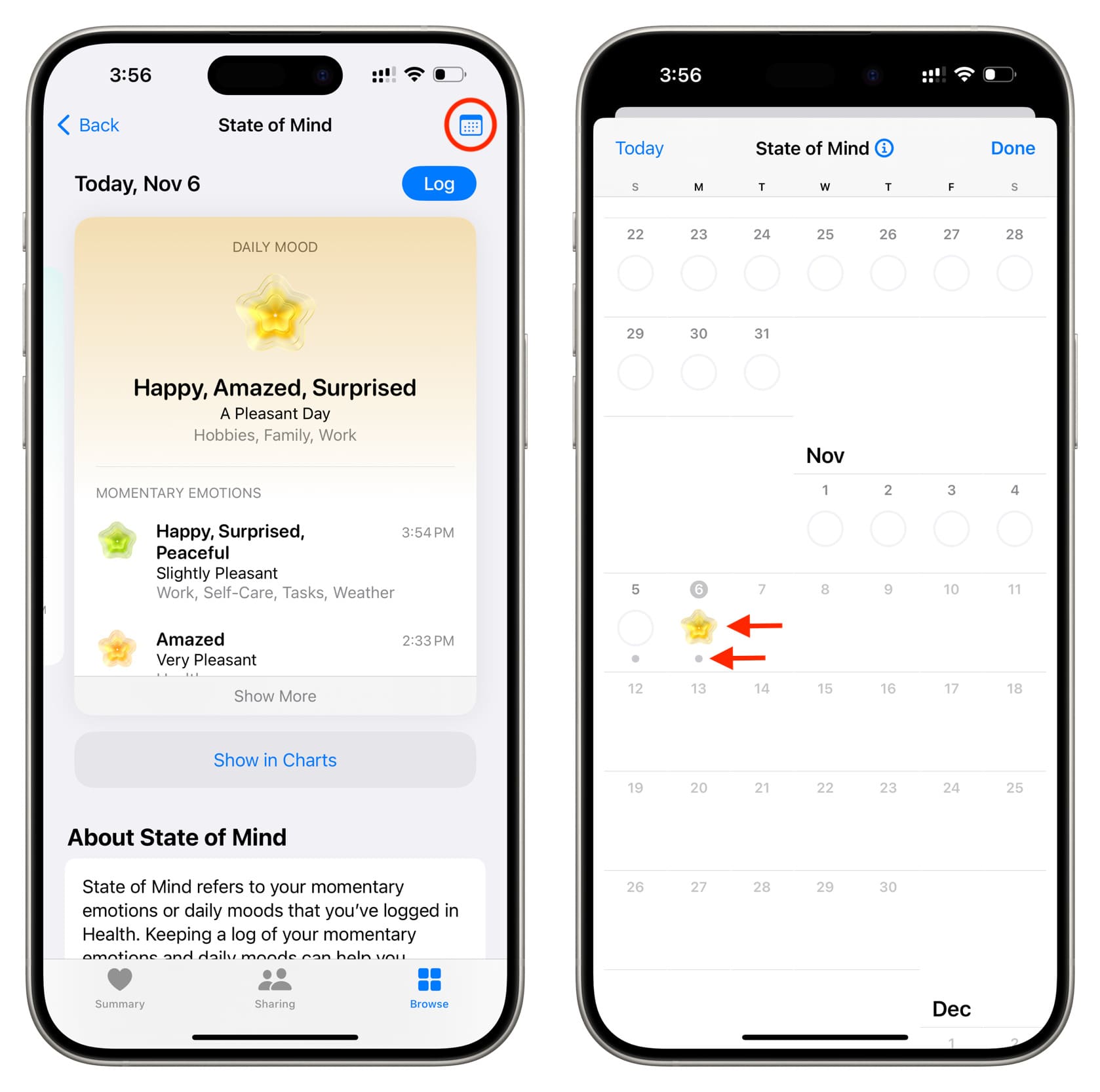 Kalenderansicht Ihrer Daten zum psychischen Wohlbefinden auf dem iPhone