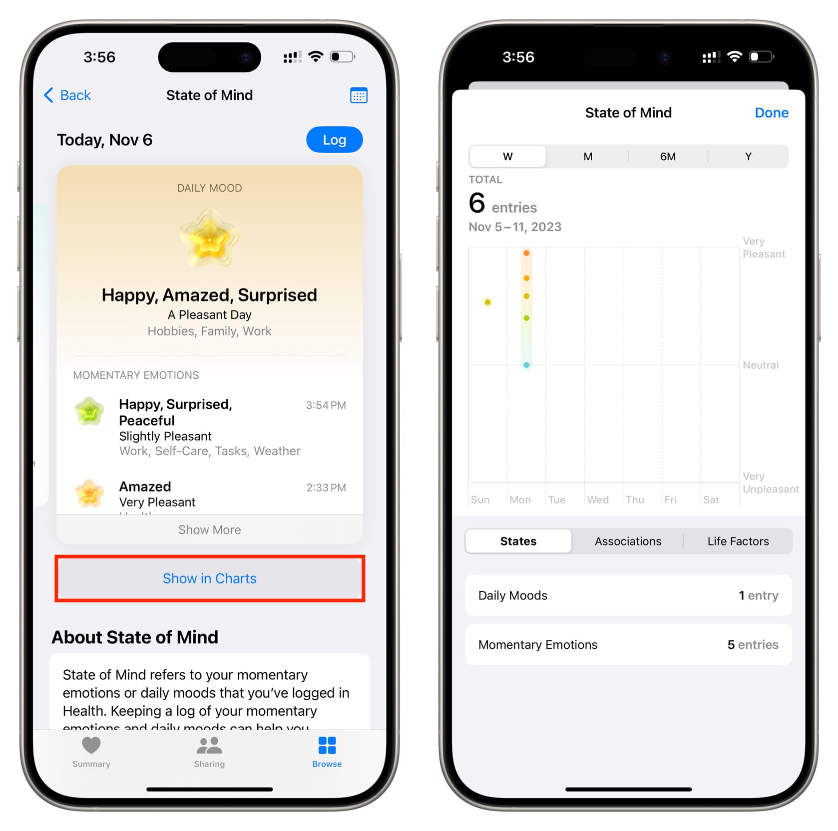 Diagrammansicht Ihrer Daten zum psychischen Wohlbefinden auf dem iPhone