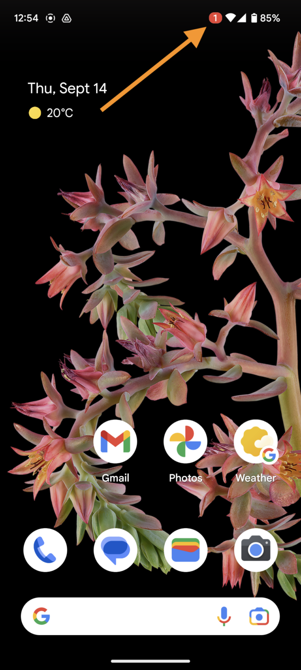 Rotes Aufnahmesymbol oben rechts auf dem Bildschirm