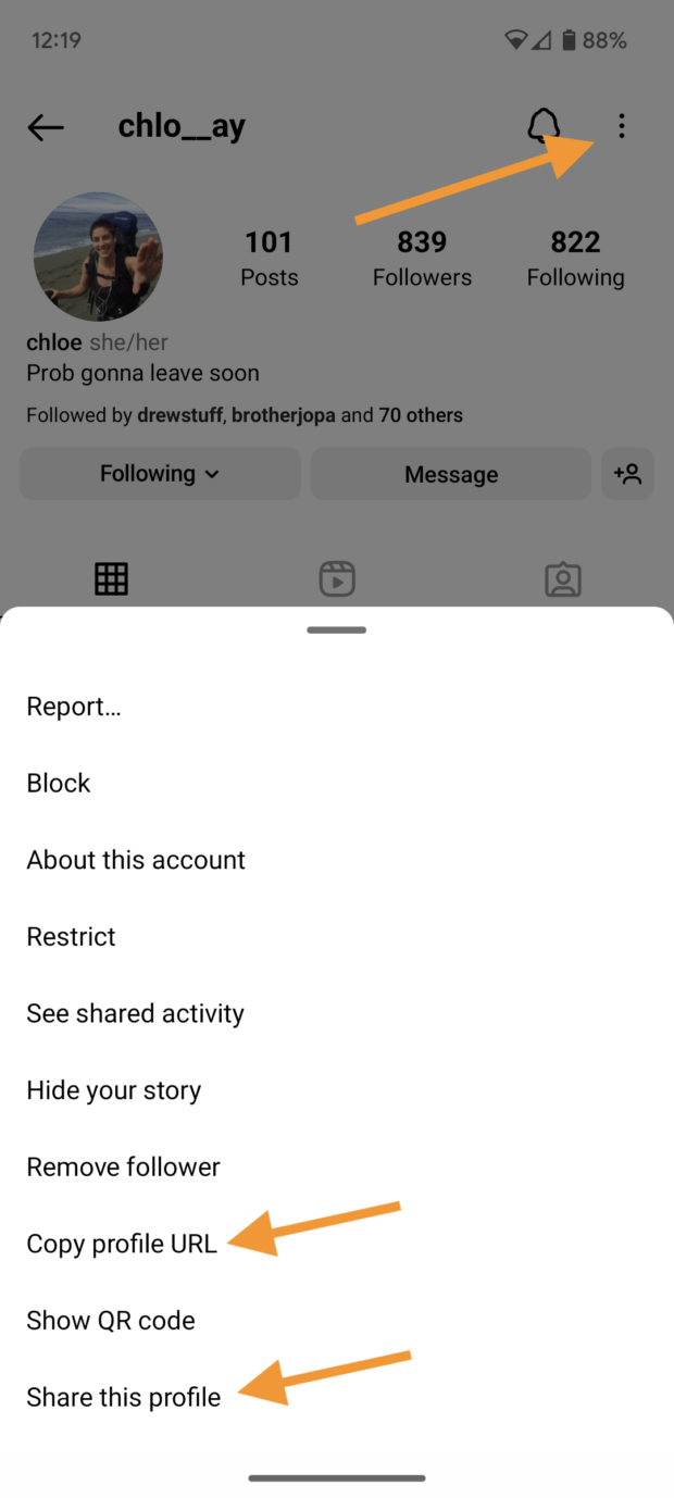 Profil-URL kopieren oder dieses Profil teilen