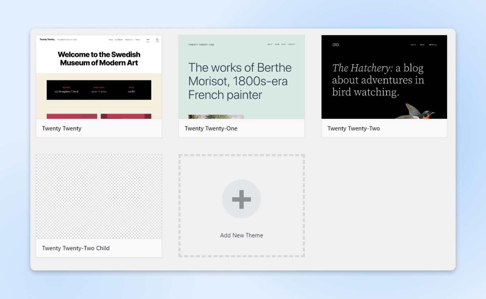 Vier übergeordnete Theme-Optionen werden um eine Option herum angezeigt 