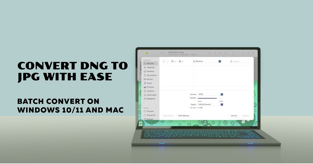 Wie konvertiert man DNG stapelweise in JPG unter Windows 10/11 und Mac?