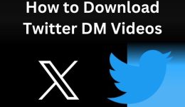 Erfahren Sie, wie Sie Twitter-DM-Videos auf PC und Mobilgeräte herunterladen