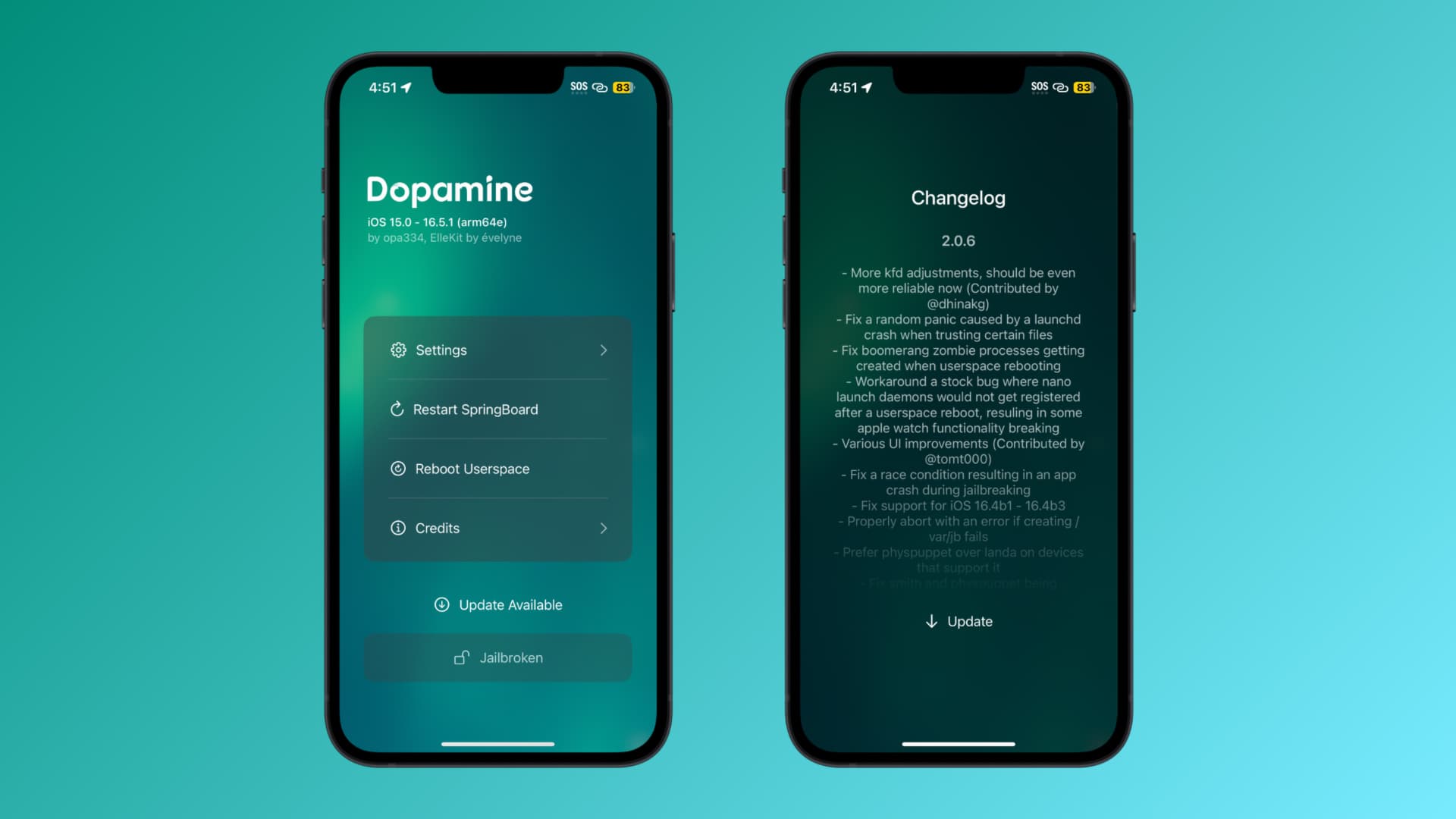 Dopamin v2.0.6-Update-OTA-Eingabeaufforderung.