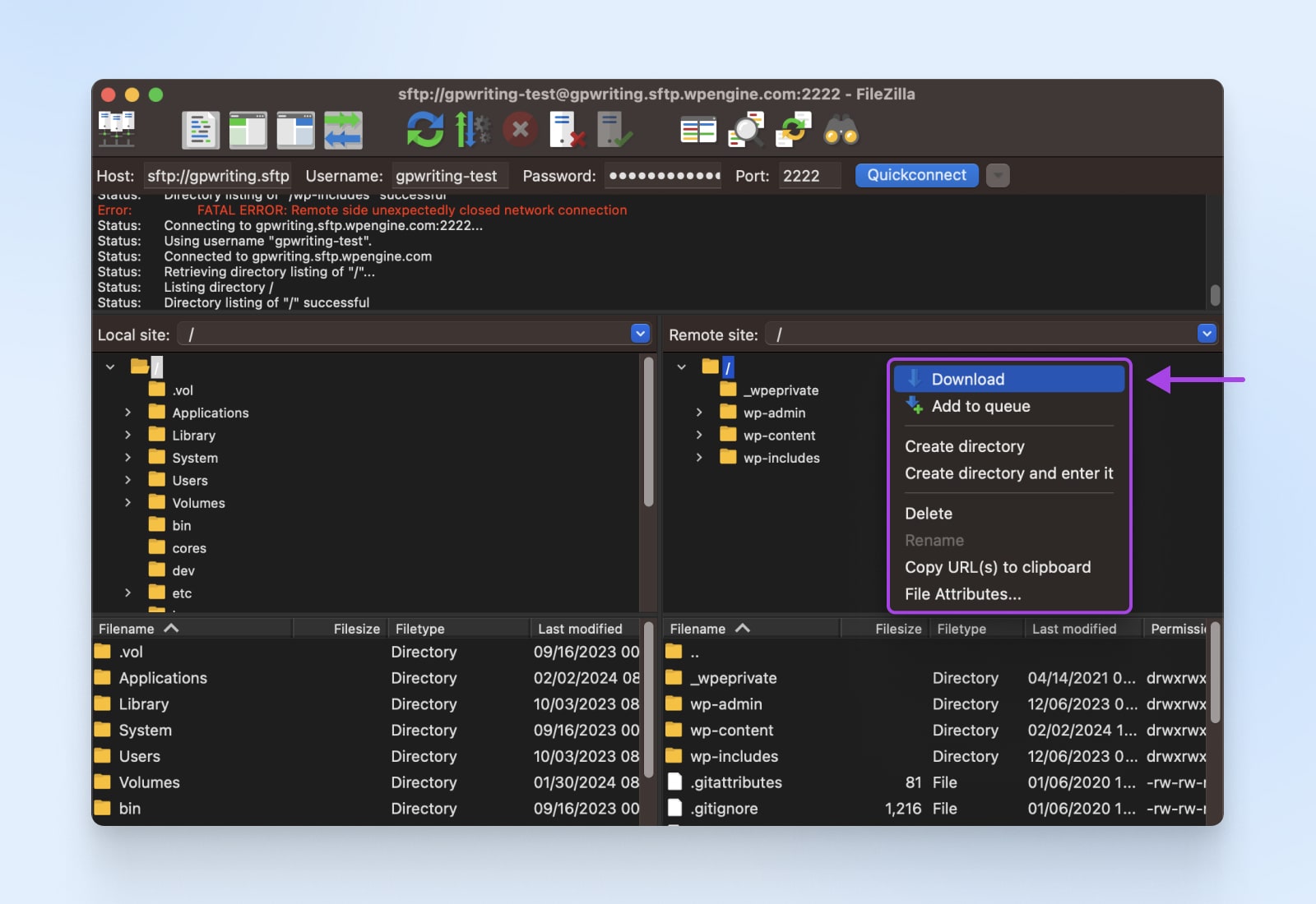 cpanel zeigt das Dropdown-Menü mit Download als erster Option an