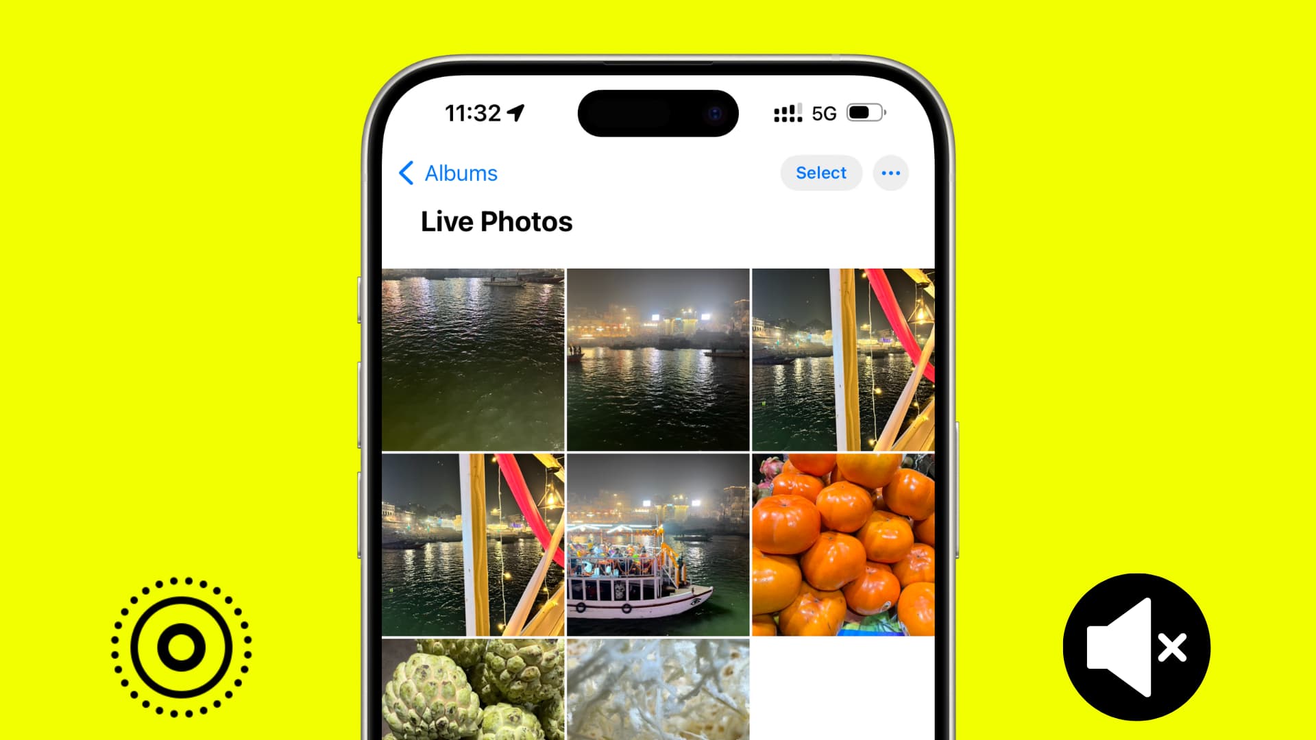 Die iPhone-Fotos-App zeigt den Abschnitt „Live-Fotos“ mit Live-Fotos und Stummschaltsymbolen auf beiden Seiten