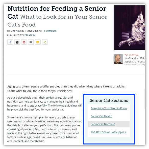 Google-Algorithmus-Updates – Beispiel für einen Blogbeitrag für Kleinunternehmen mit integriertem Inhaltsverzeichnis