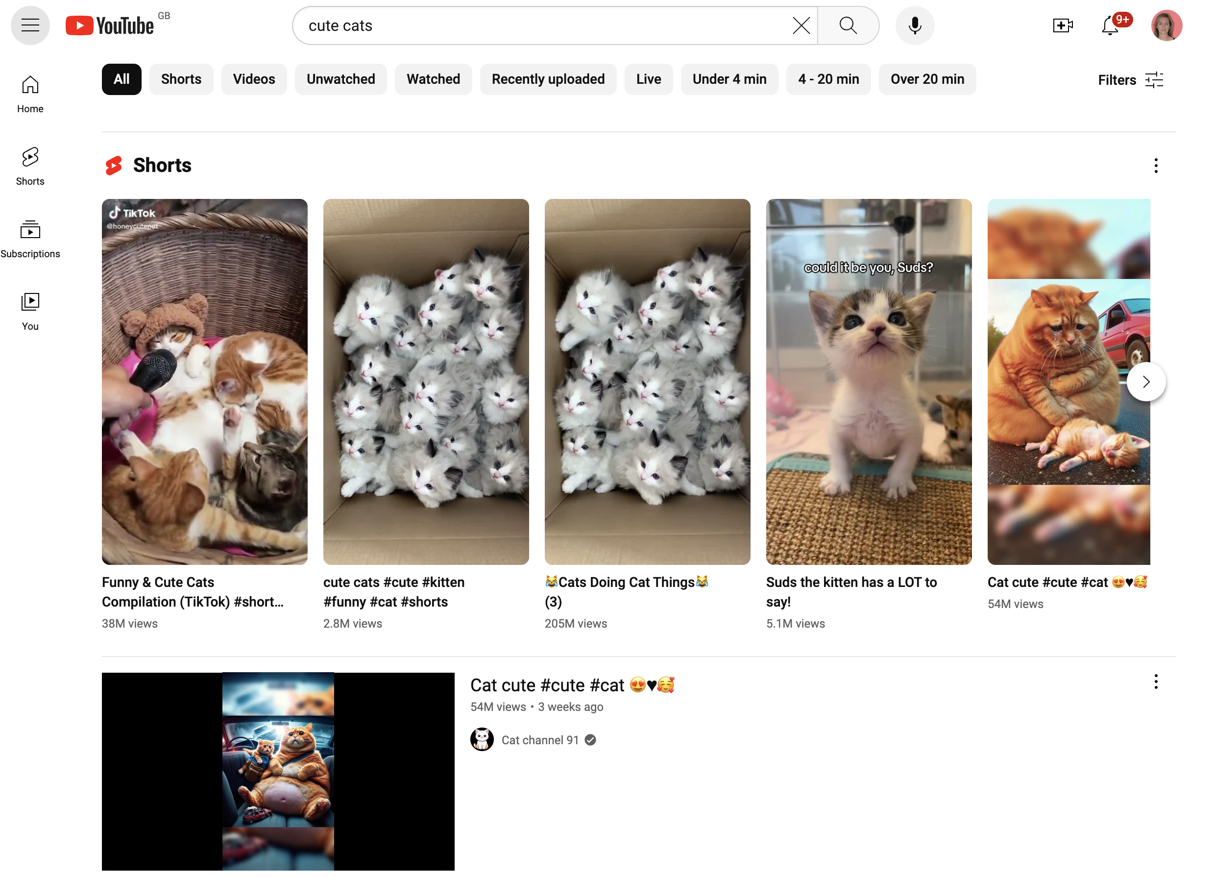 suchen nach [cute cats]Youtube