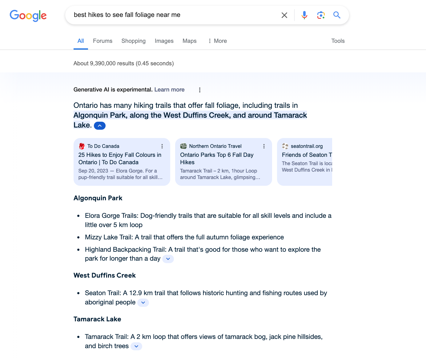 Screenshot des Google Search Generative Experience-Ergebnisses
