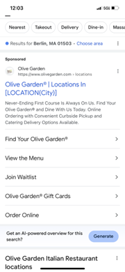 Olivengarten im Februar