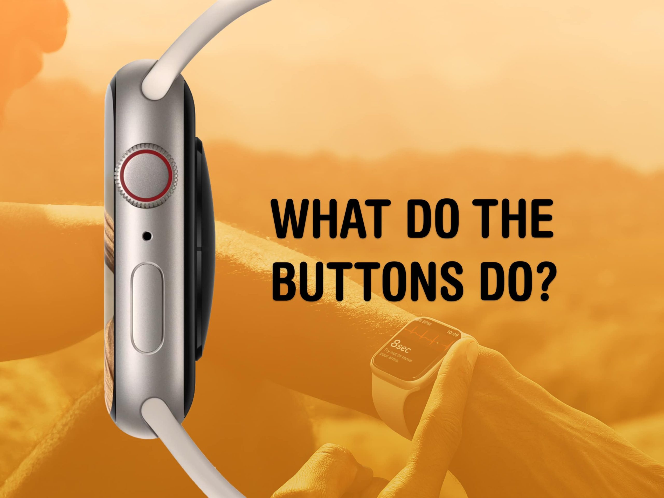 Was machen die Tasten der Apple Watch? Klicken, Doppelklicken und Halten.