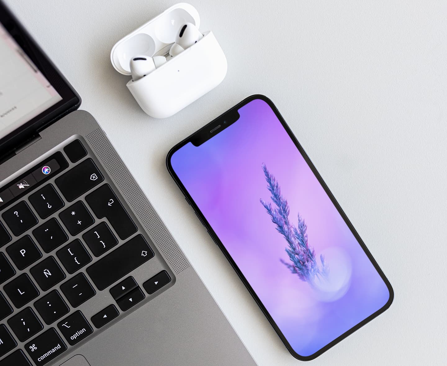 HDR lila Laub iPhone Hintergrundbild