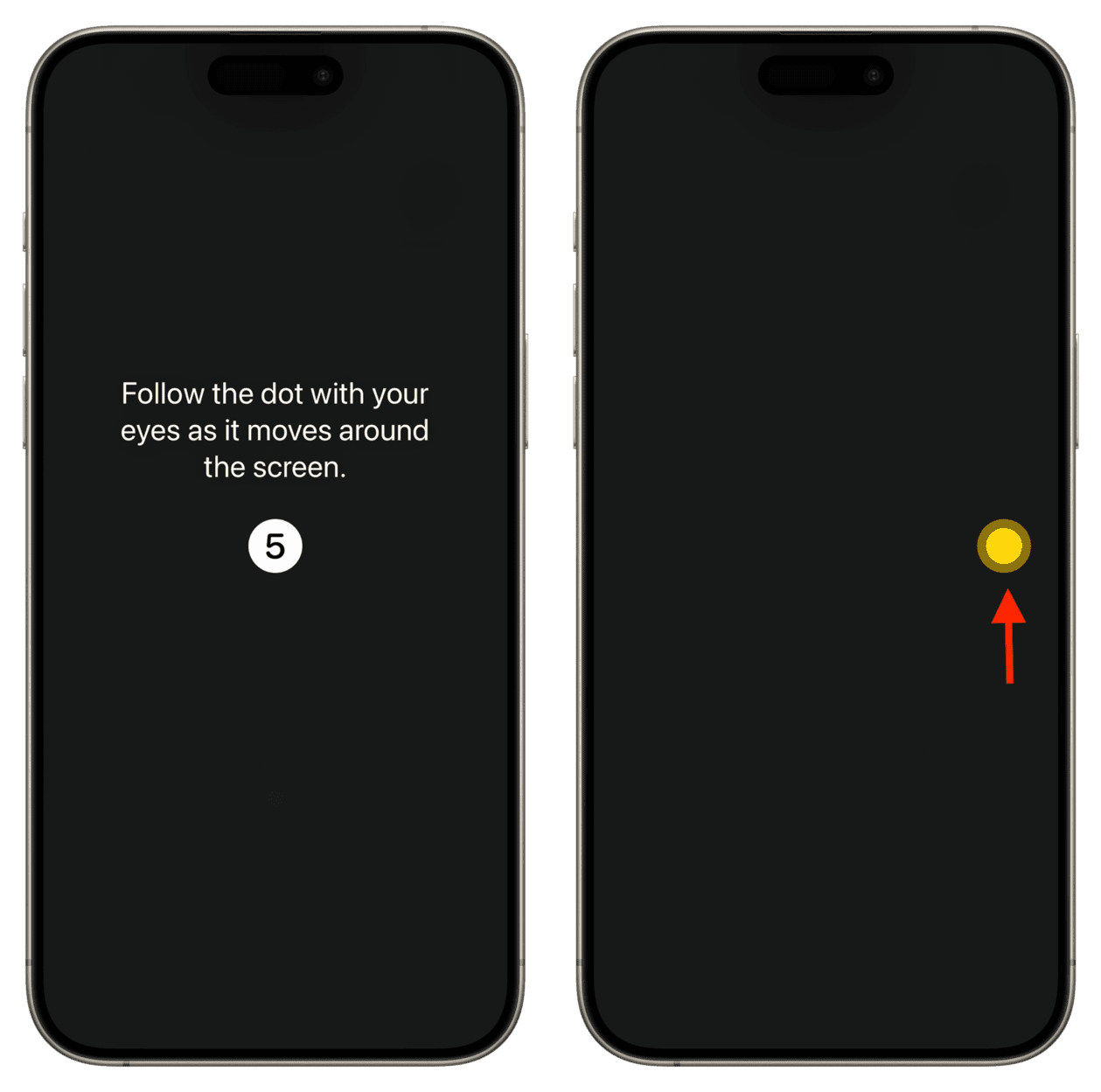 Einrichten von Eye Tracking auf dem iPhone