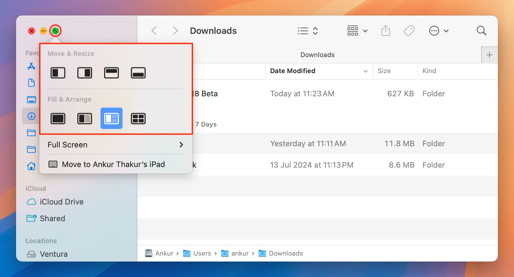 Verwenden Sie die grüne Schaltfläche, um App-Fenster auf dem Mac zu verwalten