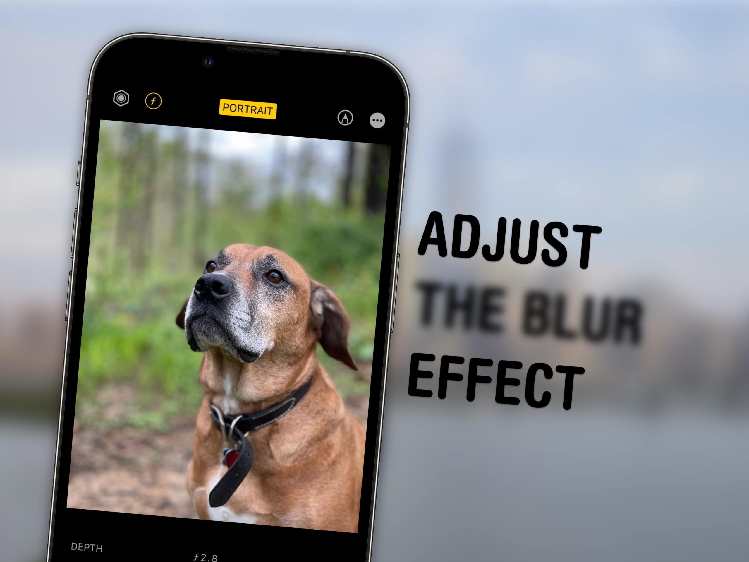 Profi-Tipp: Passen Sie die Unschärfe von iPhone-Fotos nach der Aufnahme an