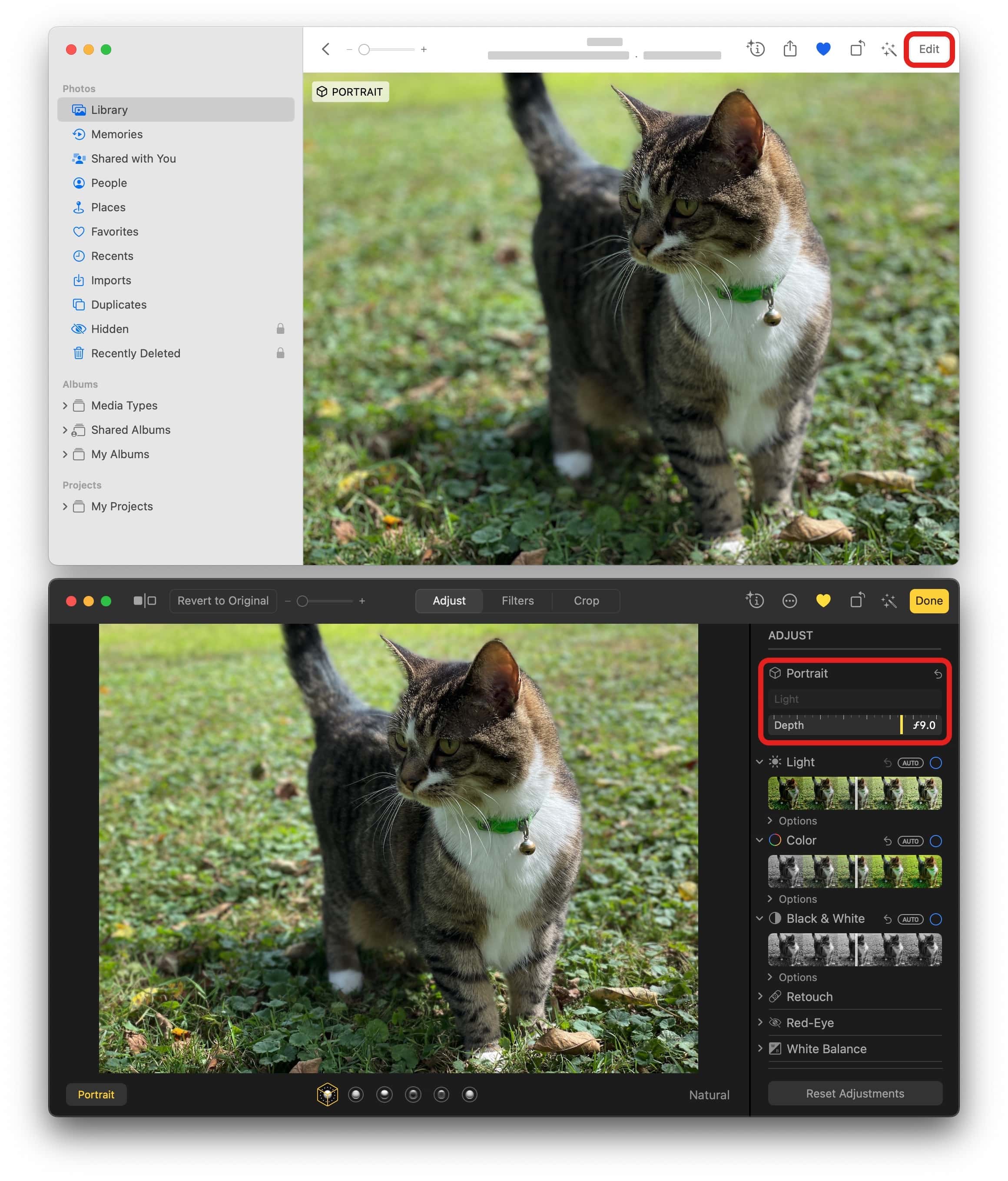 Anpassen des Portraitmodus auf einem Mac Screenshots zeigen, wie der Portraitmodus-Effekt auf dem Mac bearbeitet wird, um die Hintergrundunschärfe eines iPhone-Fotos zu ändern.