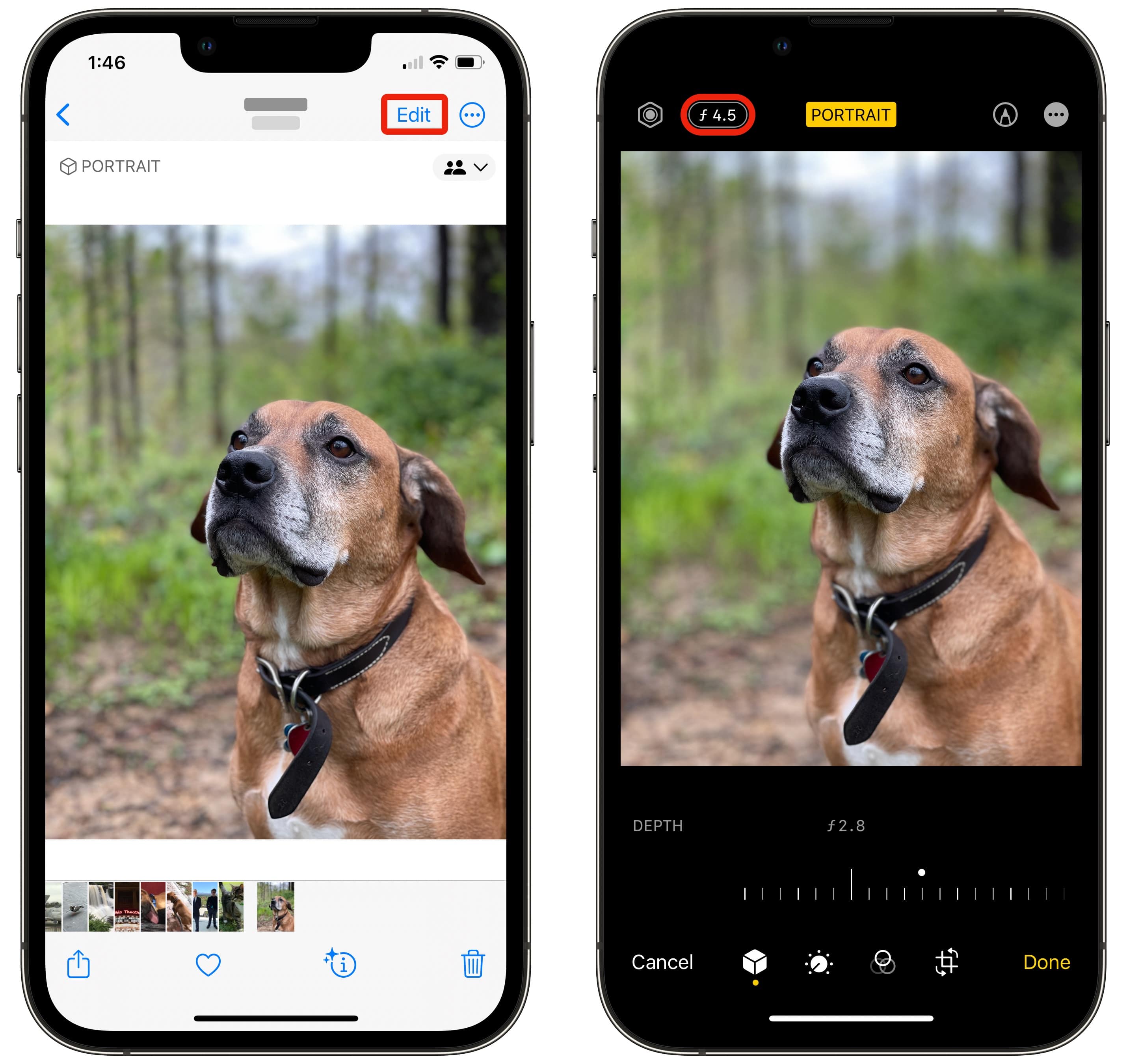 Passen Sie den Portraitmodus auf dem iPhone an Screenshots zeigen die Bearbeitung des Portraitmodus-Effekts auf dem iPhone, um die Unschärfe des Fotohintergrunds anzupassen.
