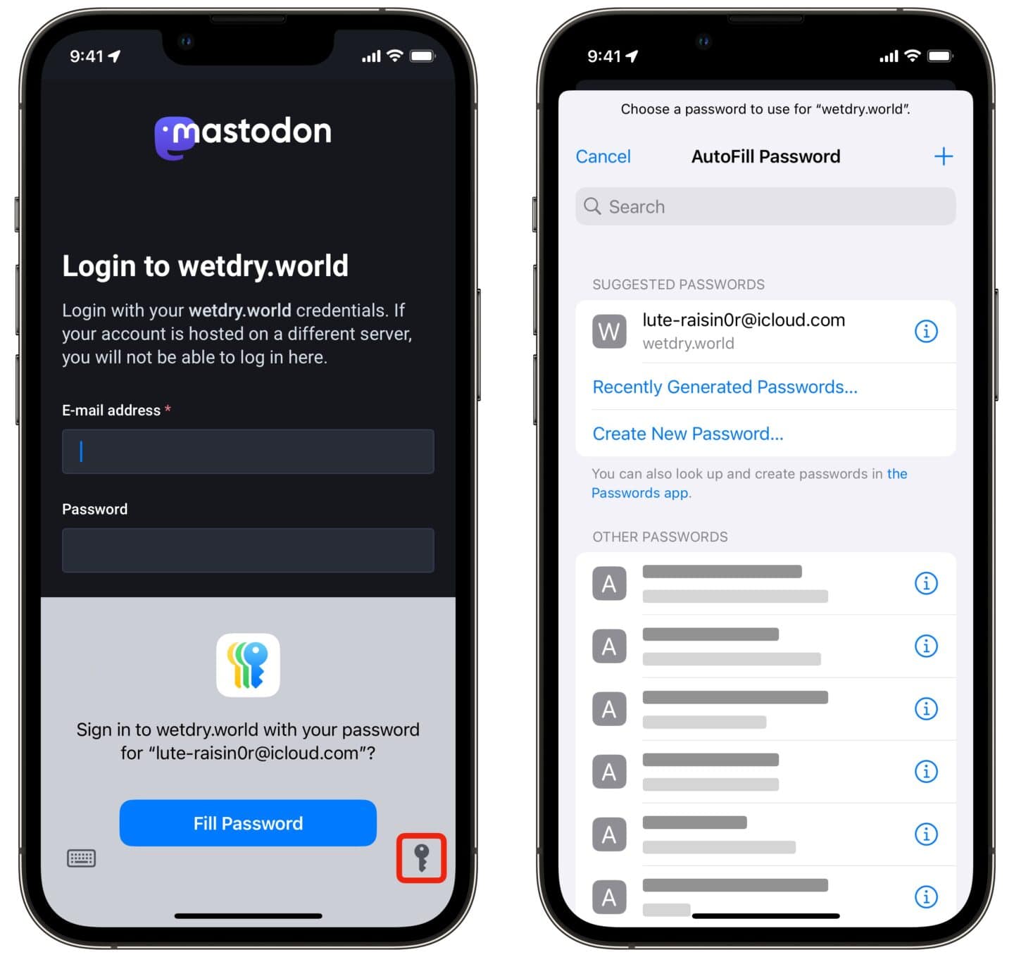 Apple-Passwörter Gespeichertes Passwort ausfüllen Gespeicherte Passwörter eingeben