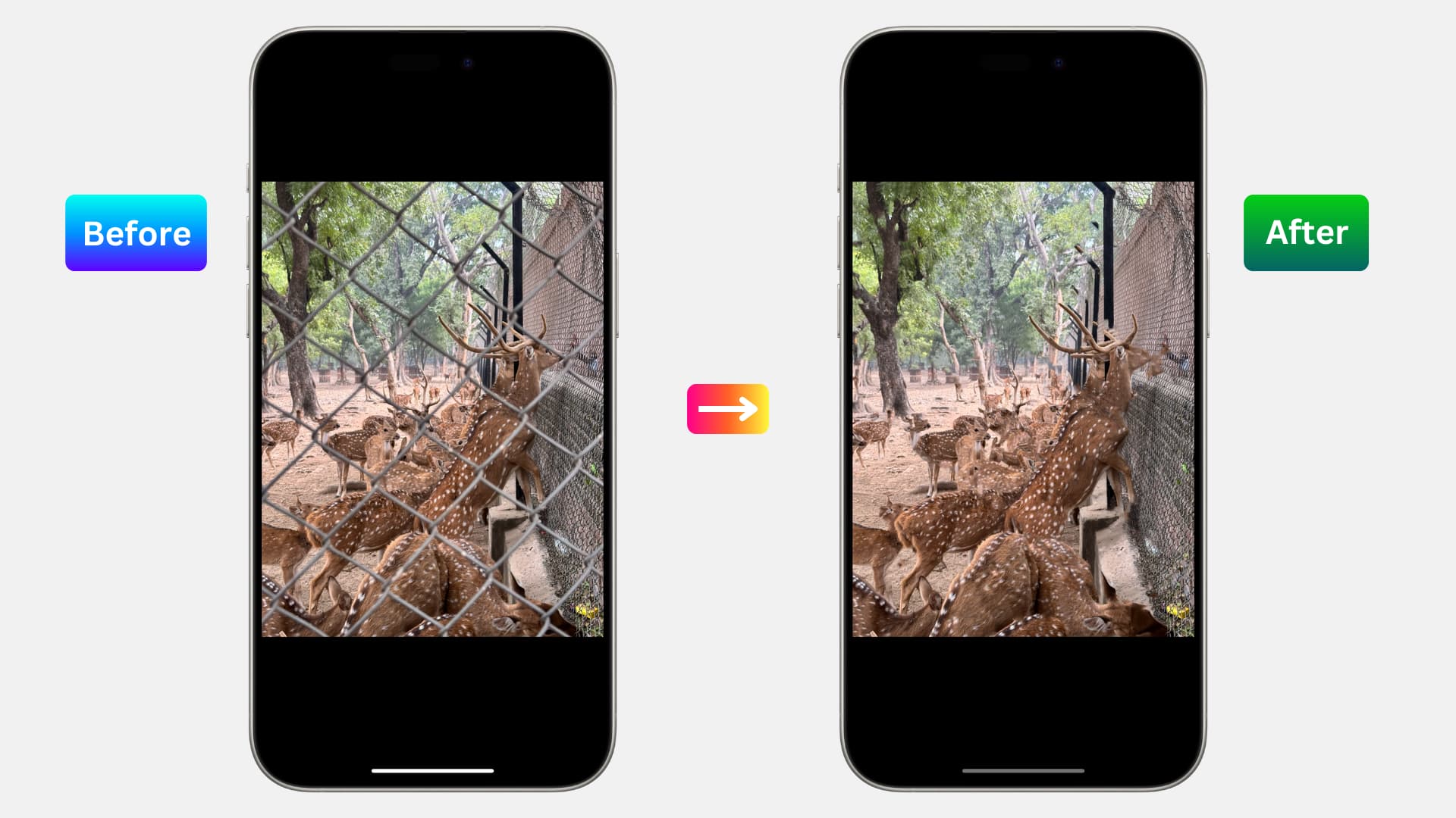 Entfernen Sie unerwünschte Objekte aus Fotos auf dem iPhone
