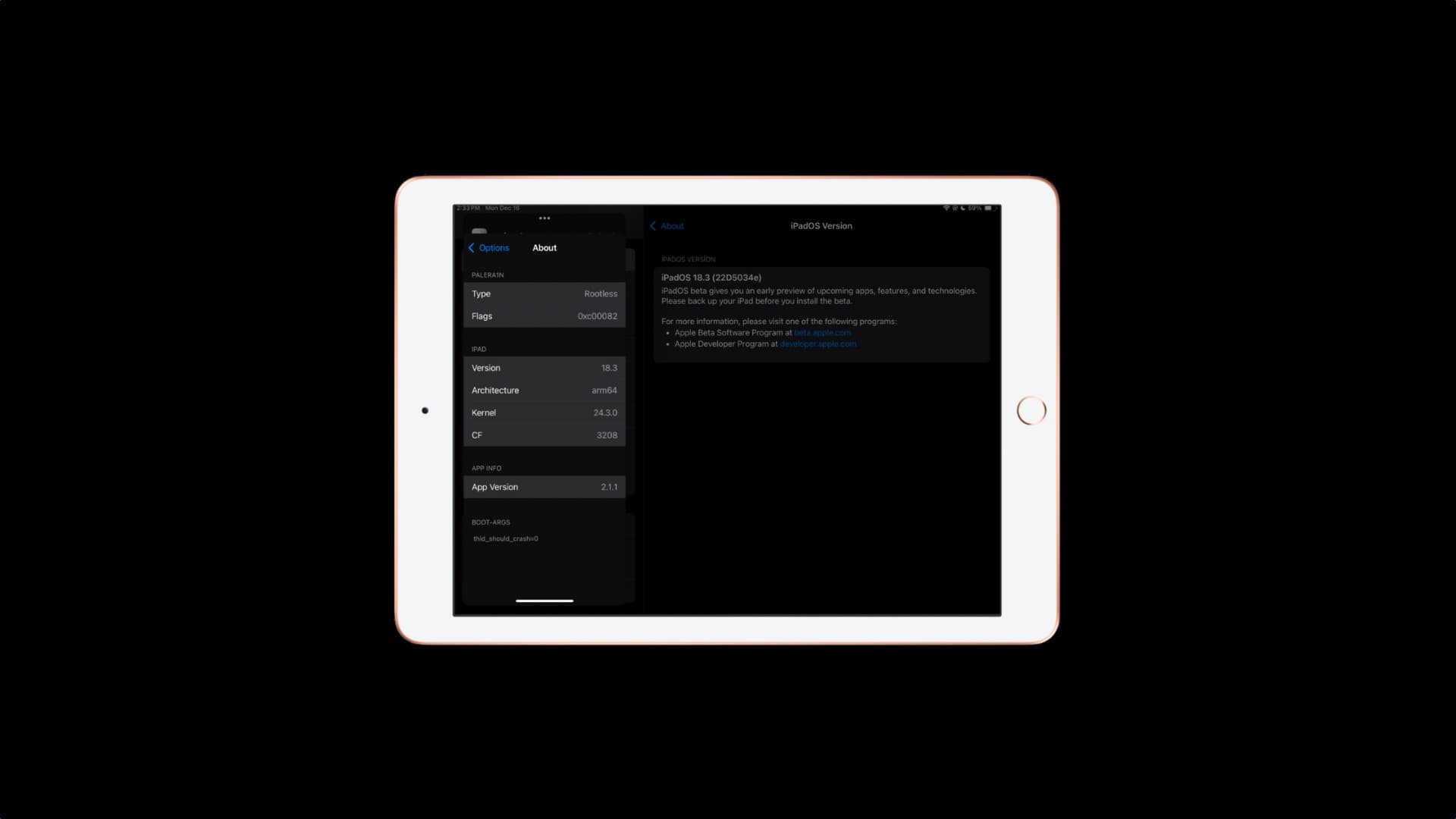 Die Widerstandsfähigkeit des palera1n-Jailbreaks wird auf dem iPad der 7. Generation unter Beweis gestellt, auf dem Apples neuestes iPadOS 18.3 Beta 1 läuft