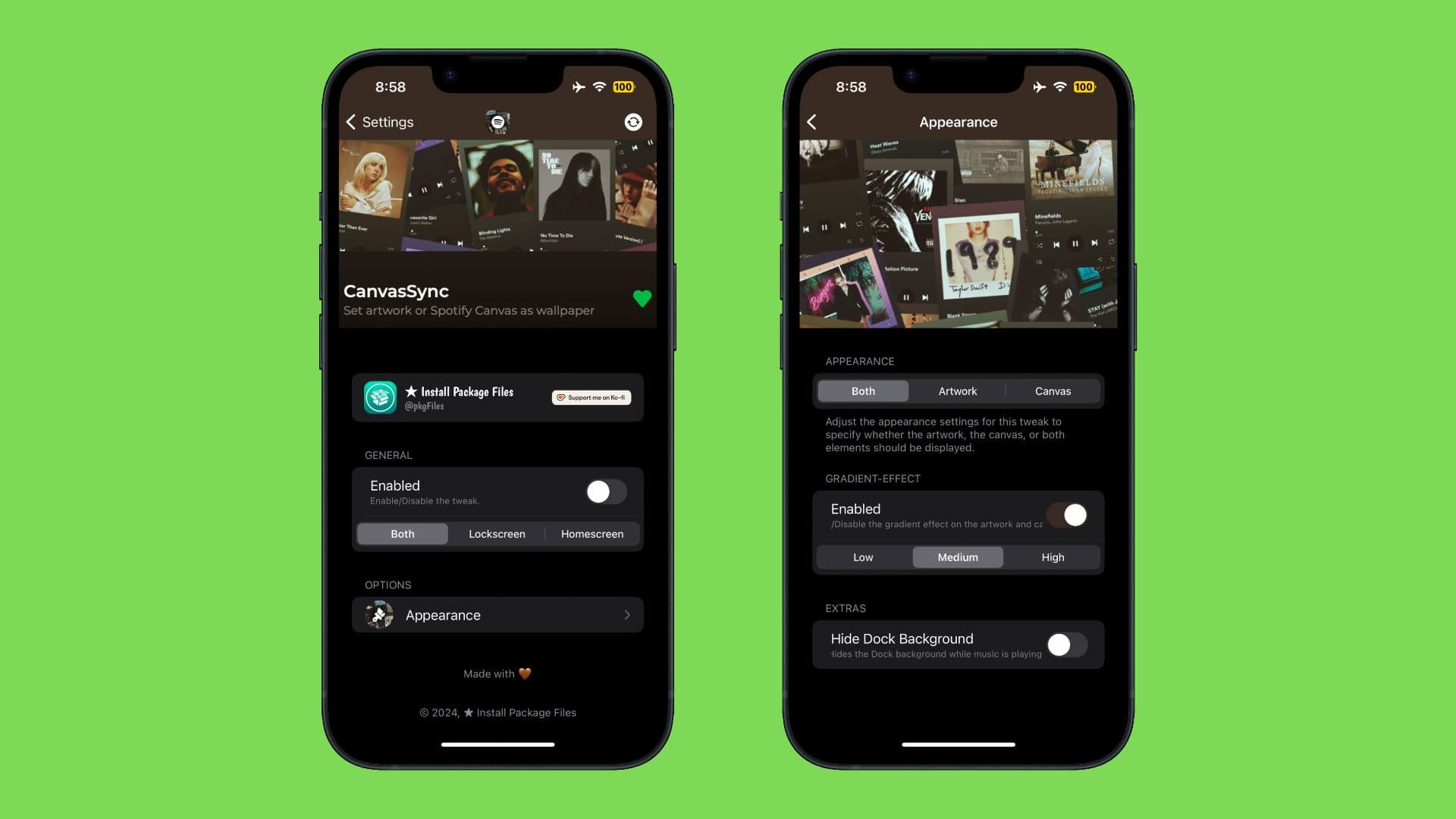 CanvasSync-Einstellungsbereich.