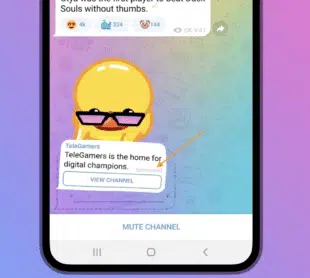 Telegram, soziale Medienanwendung