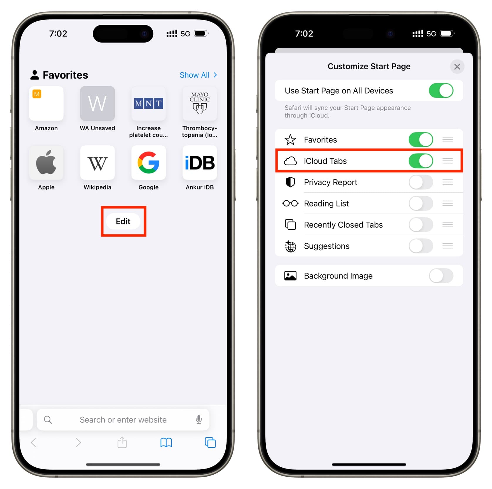 Aktivieren Sie iCloud Tabs in Safari auf dem iPhone