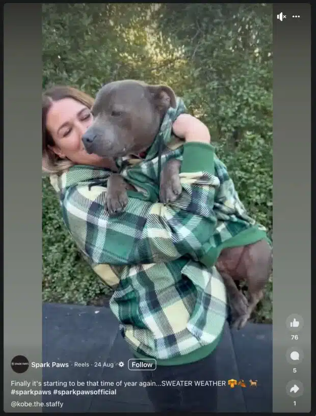 Spark Paws Pullover Wetter passt mit Hund