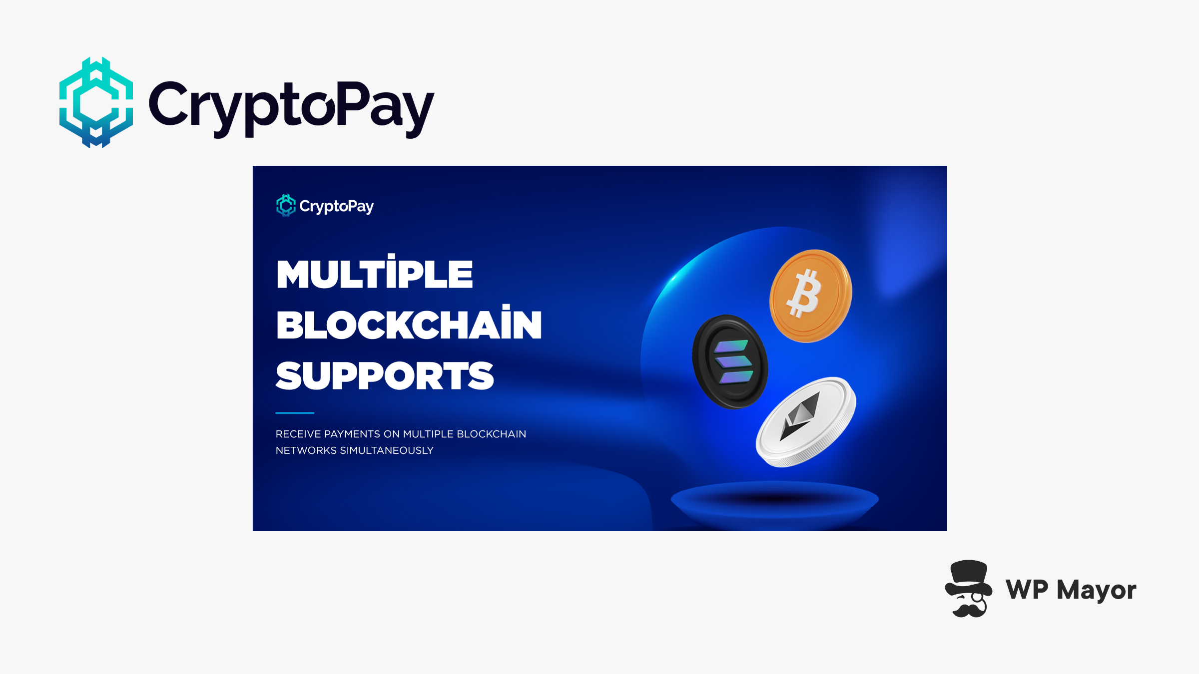 Cryptopay Review: Das vielseitigste Krypto -Zahlungsgateway für WordPress und WooCommerce