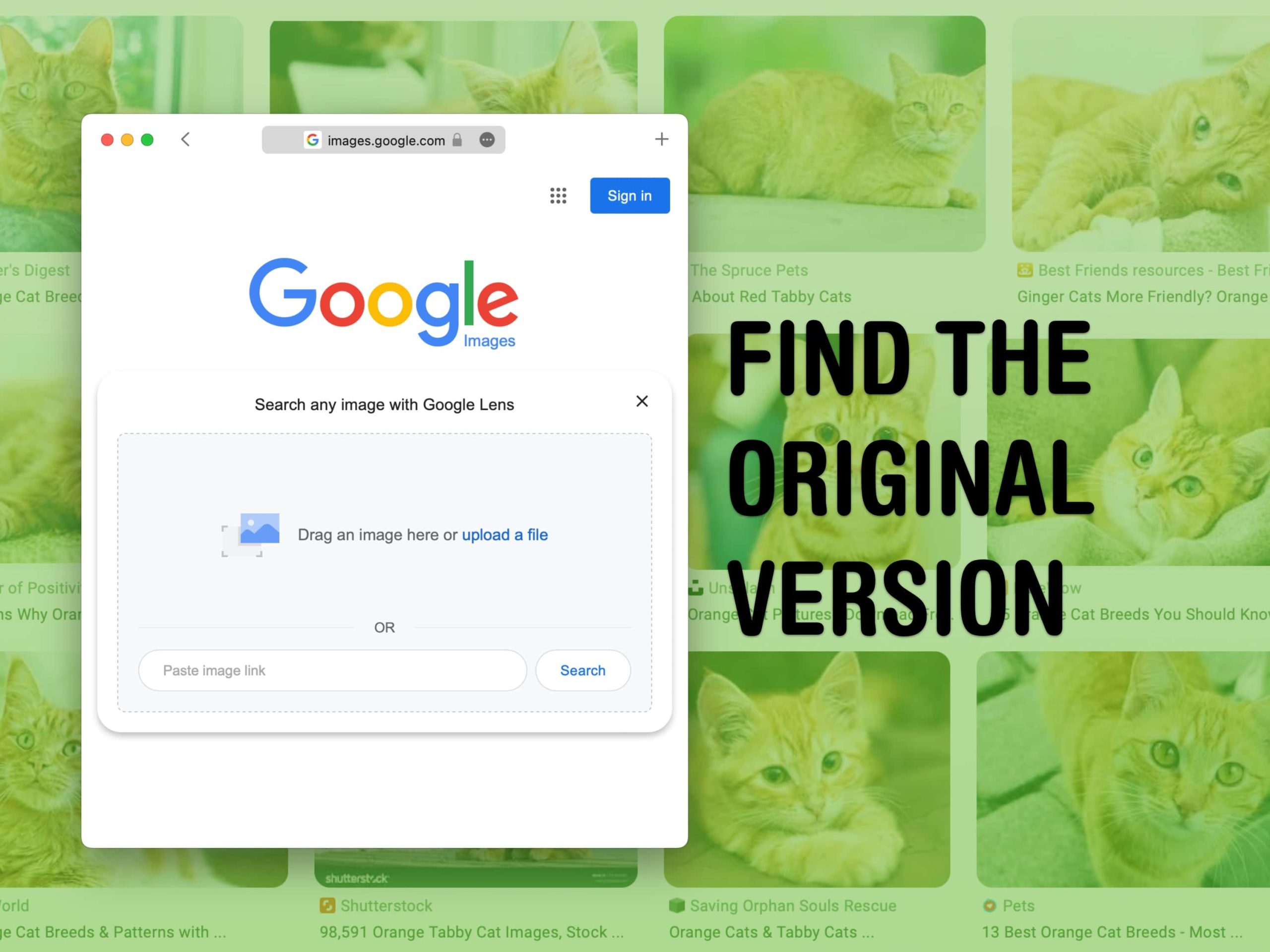 Finden Sie die Originalbilder von höchster Qualität online mit Reverse Image Search