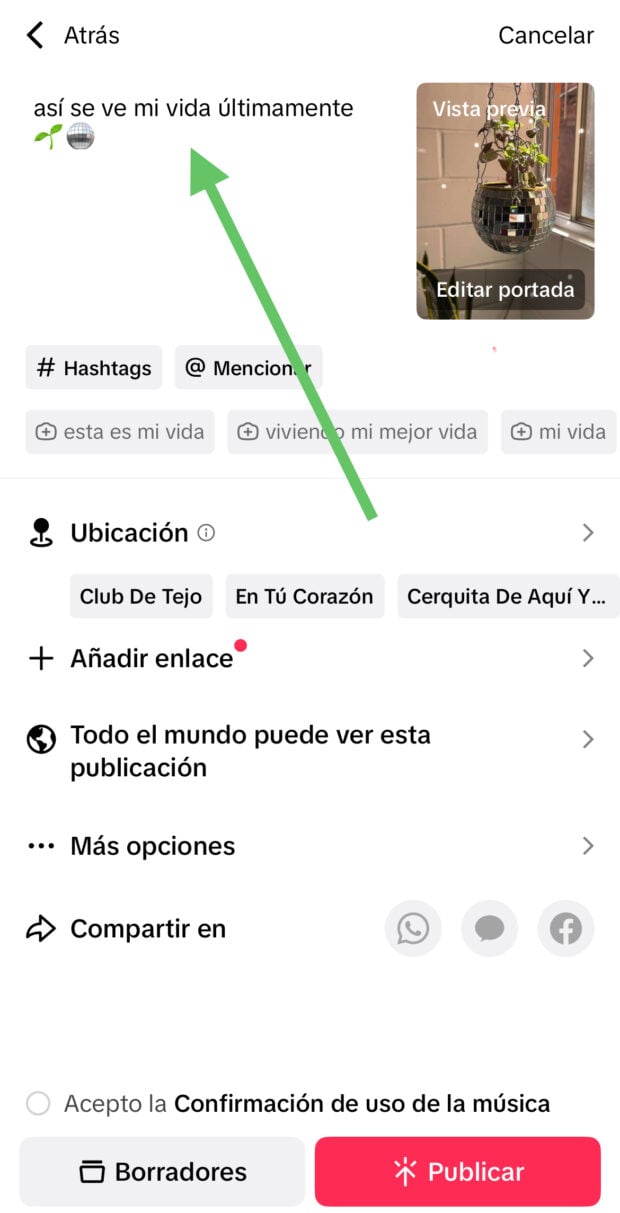 Agrega una cripción como último paso antes de publicar en tiktok