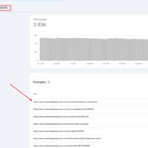 404 URLS -Bericht in GSC