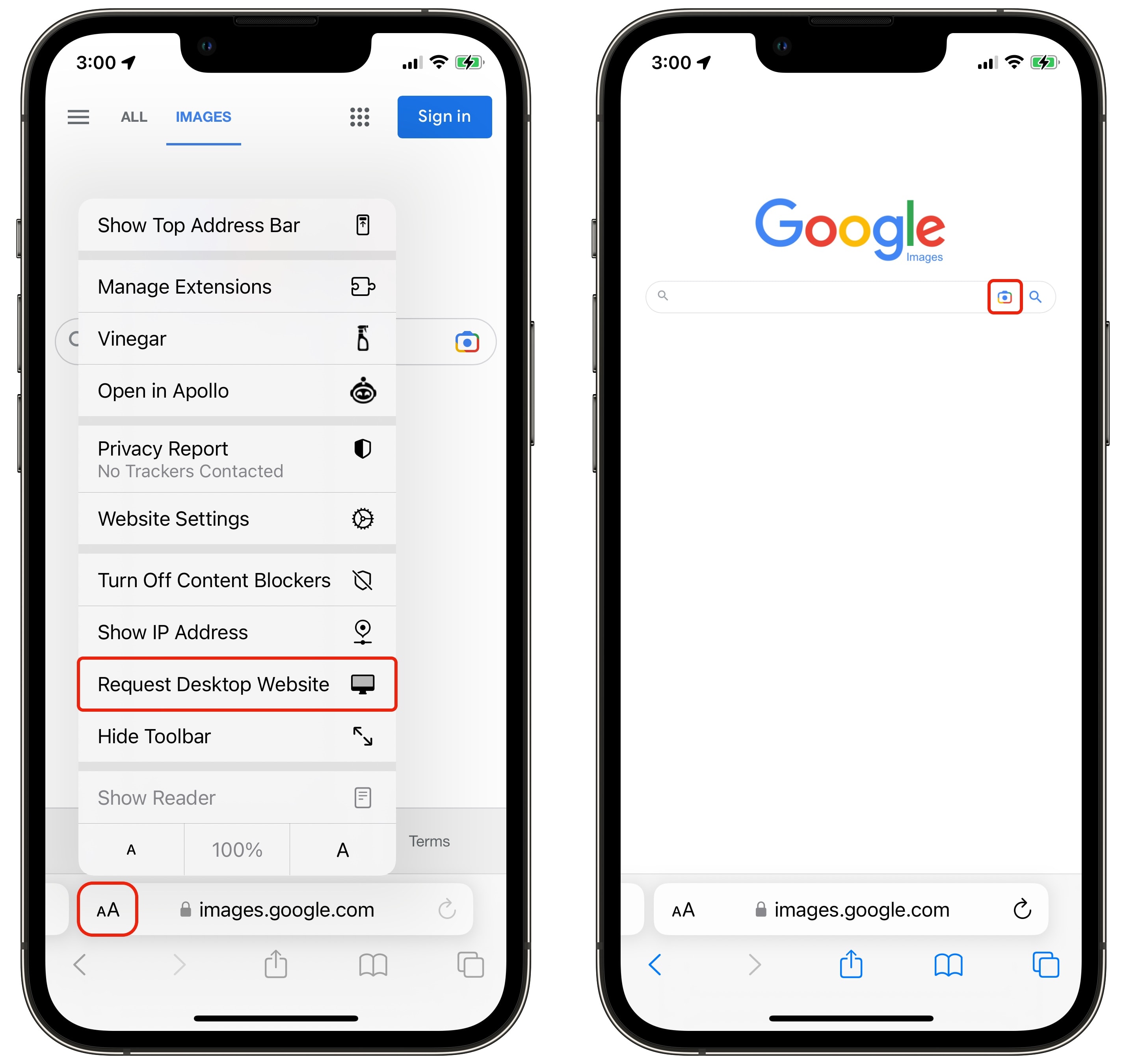 Umgekehrte Bildsuche auf dem iPhone umgekehrt Aktivieren Sie die Desktop -Website, um eine umgekehrte Bildsuche auf dem iPhone zu starten
