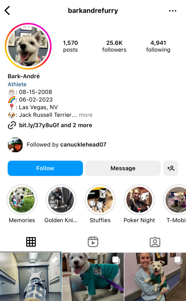 Barkandrefurry, Konto eines Jack-Russell-Terriers