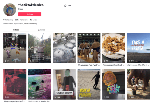 Die Account -Homepage von Tiktokdealxo