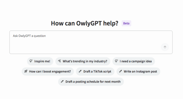 Hauptansicht von Owlygpt im Hootsuite Dashboard
