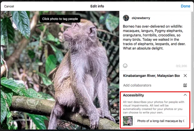 Langschwanz -Makaken mit Barrierefreiheit Funktion mit Alt -Text, um ein Foto für Menschen zu beschreiben LE mit Sehbehinderungen