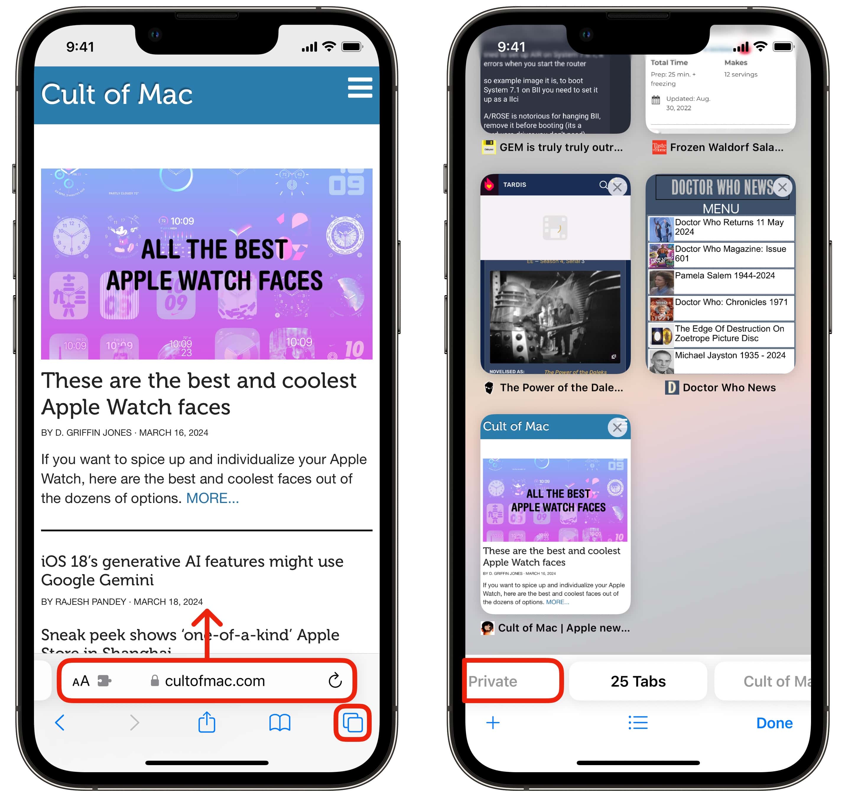 Geben Sie ein privates Durchsuchen von iPhone ein Eintritt in das private Surfen auf dem iPhone