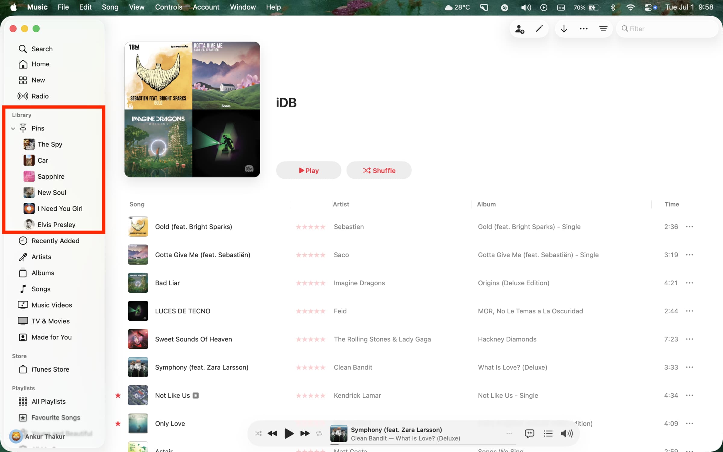 Pinned section in Mac Music app