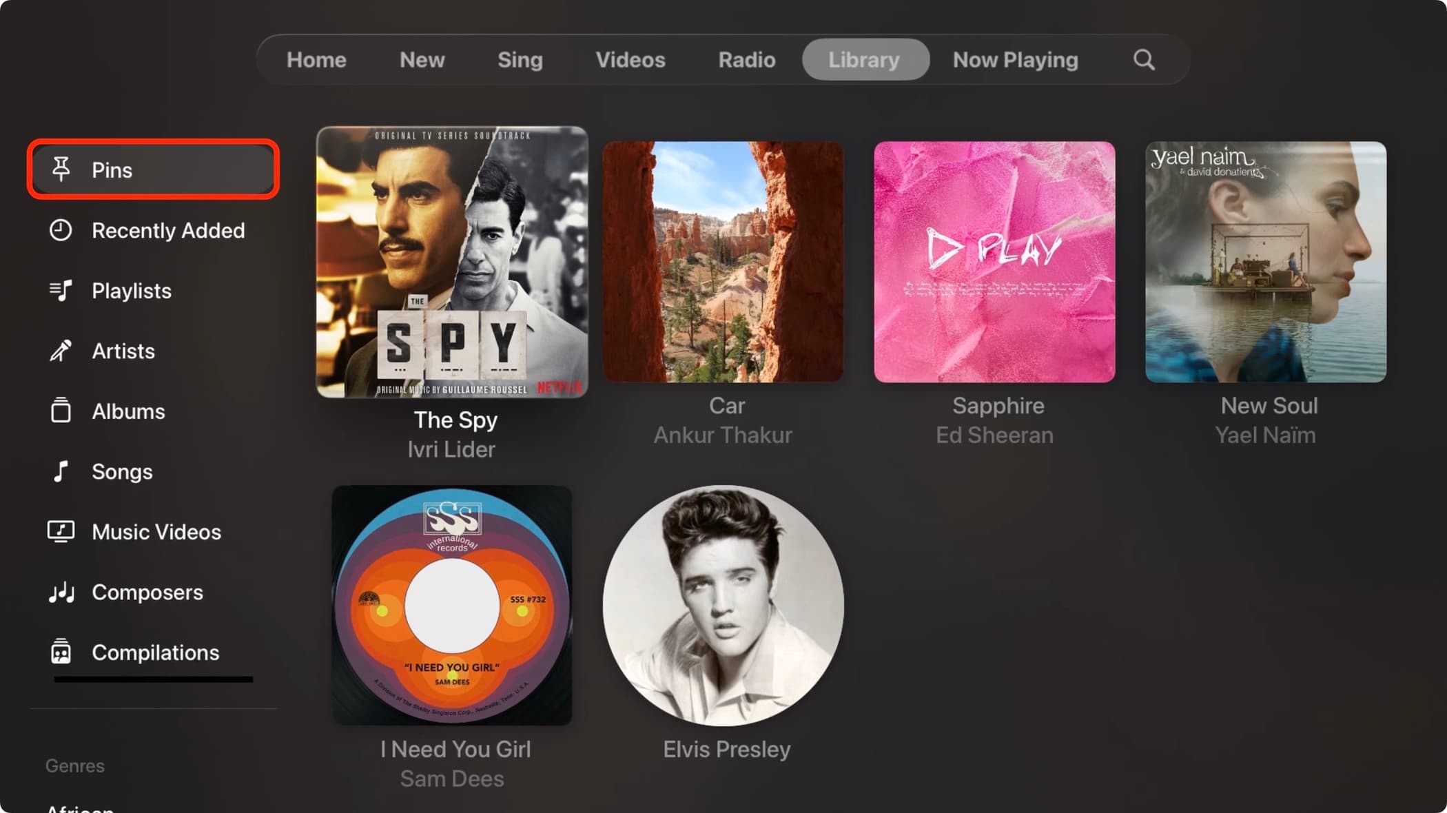 Pins section in Music app on Apple TV